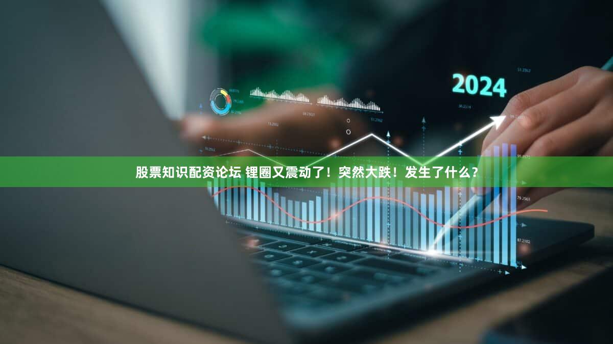股票知识配资论坛 锂圈又震动了！突然大跌！发生了什么？