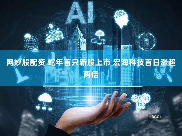 网炒股配资 蛇年首只新股上市 宏海科技首日涨超两倍