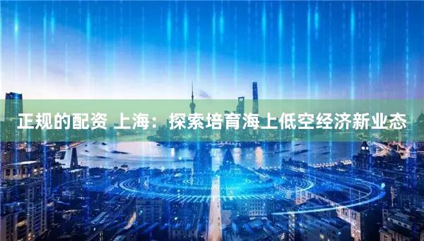 正规的配资 上海：探索培育海上低空经济新业态