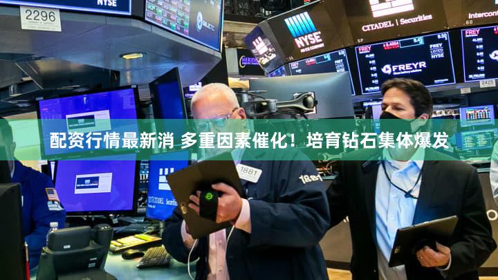 配资行情最新消 多重因素催化!培育钻石集体爆发